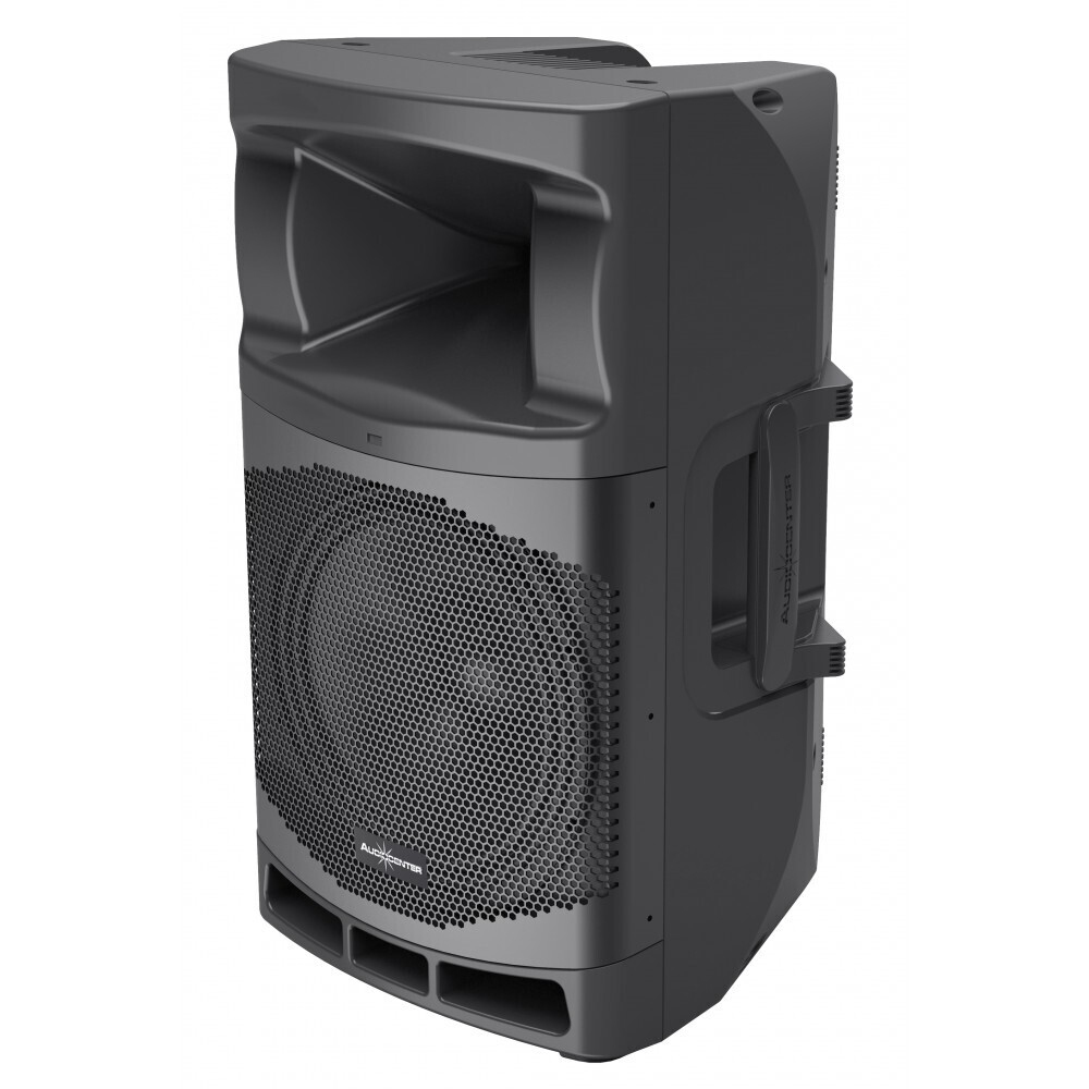 Audiocenter MA12 активная акустическая система в Партизанске