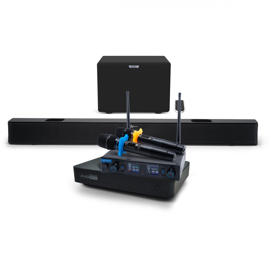 Hi-End караоке-система EVOBOX Premium + EvoSoundBar (саундбар с караоке) в Партизанске