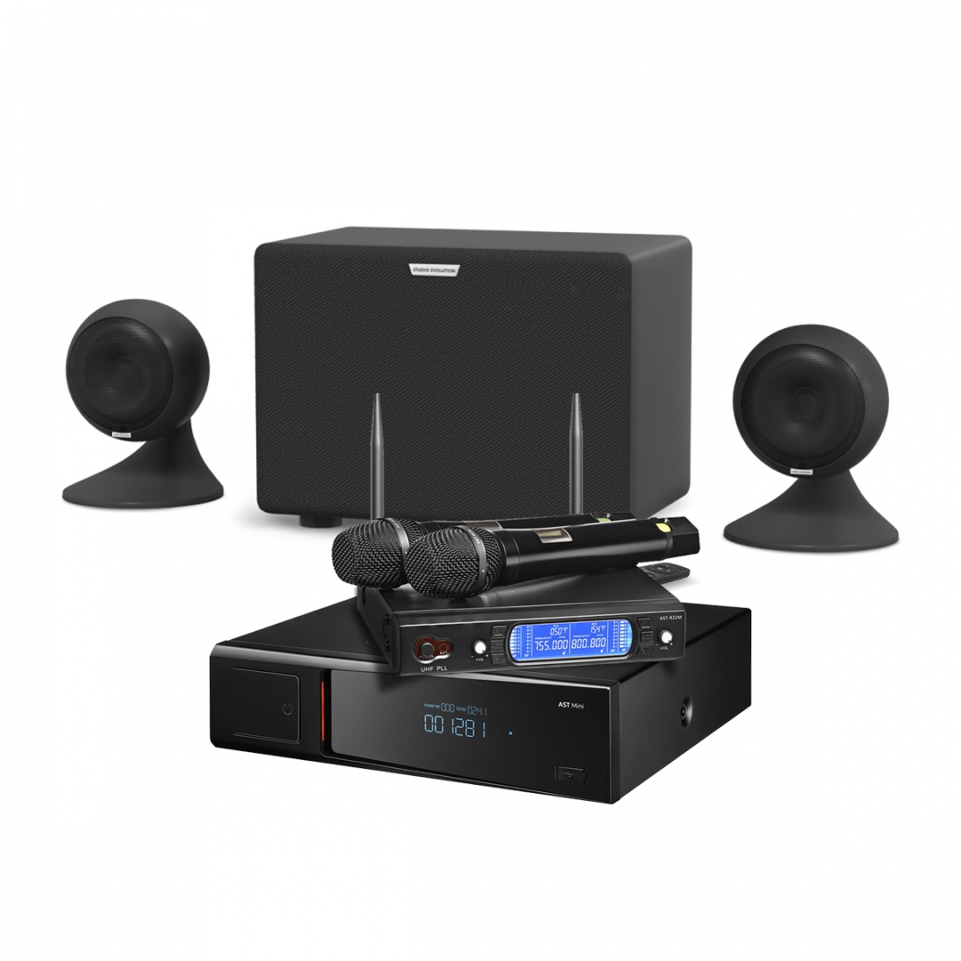 караоке-комплект AST Mini Sound Sphere в Партизанске