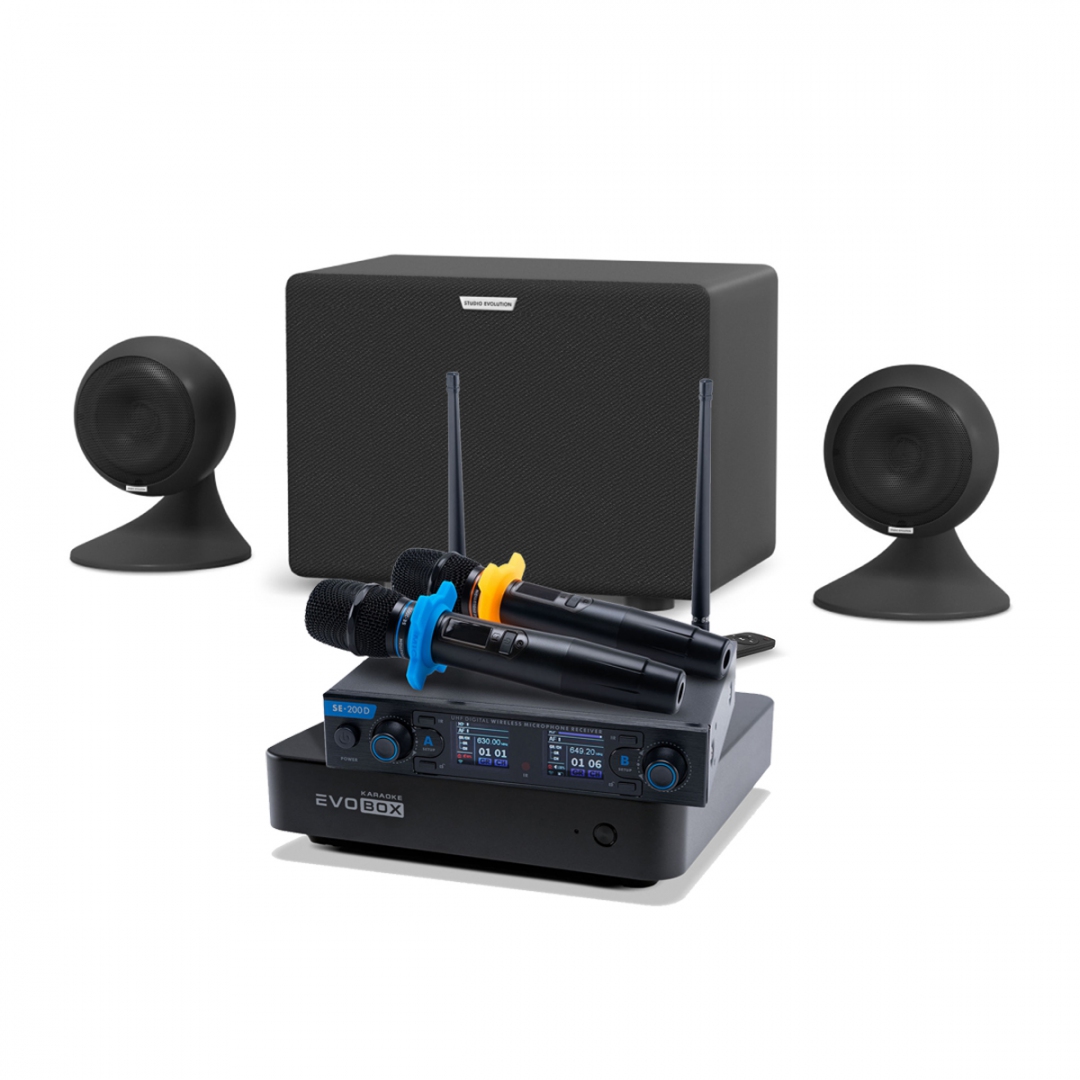 караоке-комплект EVOBOX + EvoSound Sphere 2.1 в Партизанске
