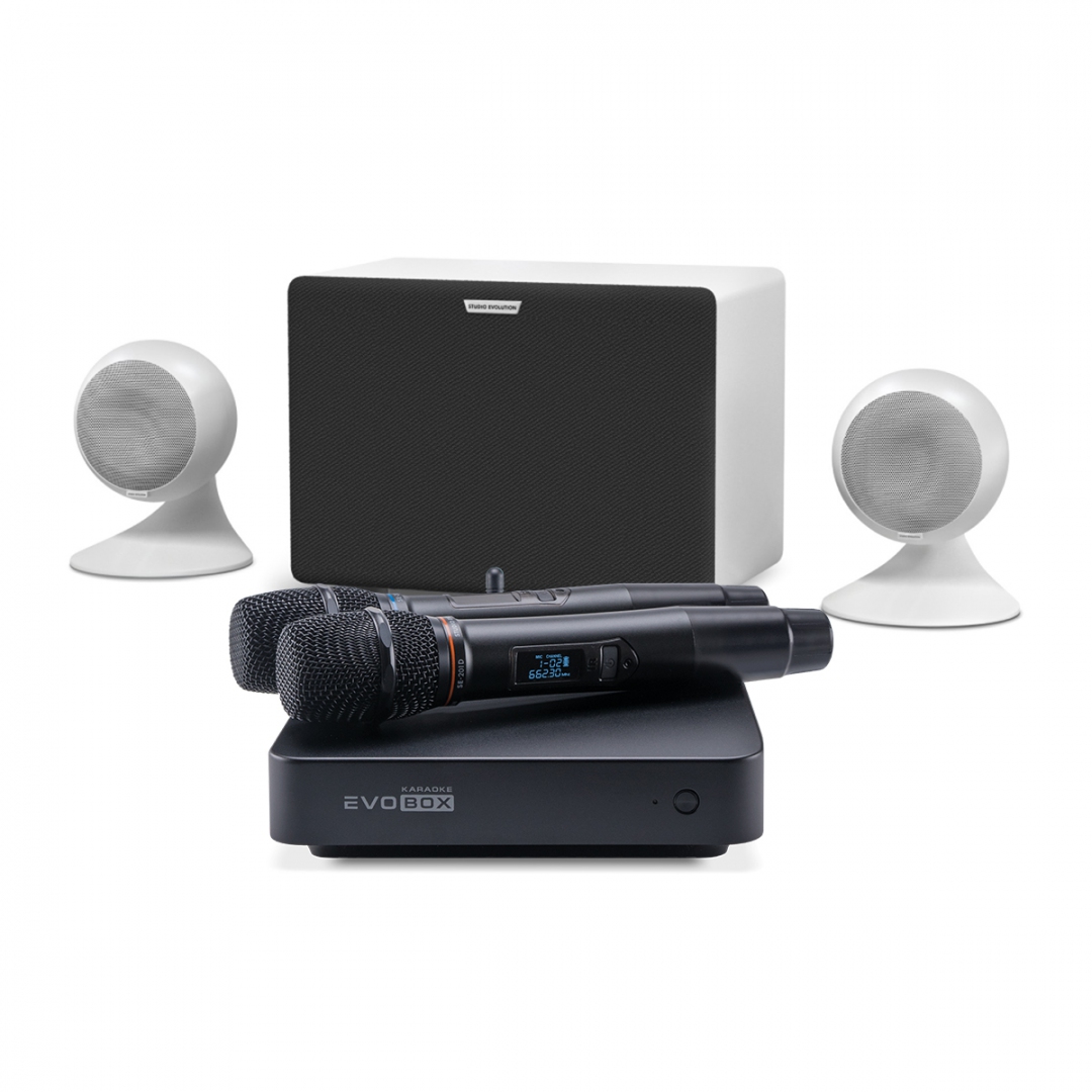 караоке-комплект EVOBOX Classic + EvoSound Sphere 2.1 в Партизанске