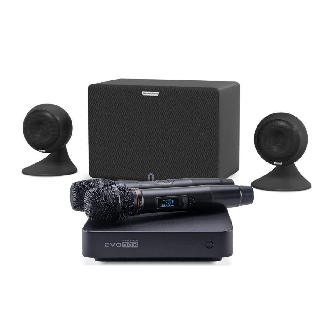 караоке-комплект EVOBOX Plus + EvoSound Sphere 2.1 в Партизанске
