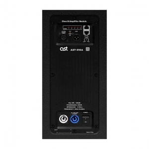 Активная акустическая система AST-310A в Партизанске