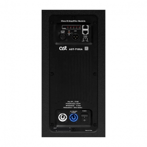 Активный сабвуфер AST-715SA в Партизанске