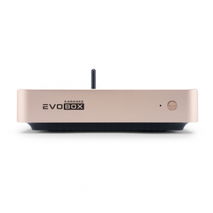 EVOBOX Plus караоке-система для дома в Партизанске