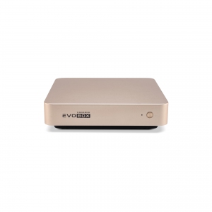 EVOBOX с микрофонами в Партизанске