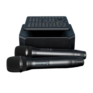 караоке-комплект для Дома AST ZOOM 1/2 и EvoSound Bar (Саундбар с караоке) в Партизанске