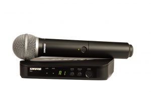 SHURE BLX24E/PG58 M17 вокальная радиосистема в Партизанске