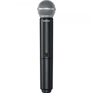 SHURE BLX288E/SM58 M17 вокальная радиосистема в Партизанске